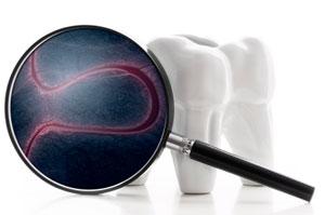 Microbial 'signature' discovered in oral bacteria that can discriminate between ethnicities